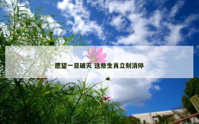 愿望一旦破灭 这些生肖立刻消停