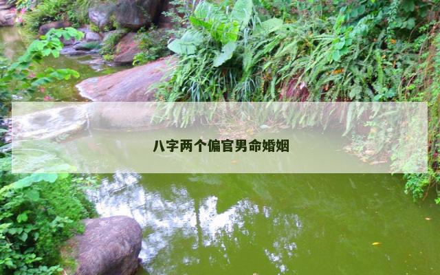 八字两个偏官男命婚姻
