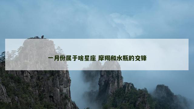 一月份属于啥星座 摩羯和水瓶的交锋