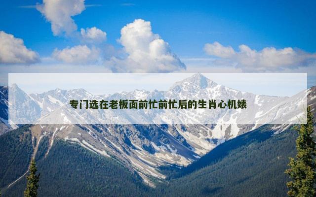 专门选在老板面前忙前忙后的生肖心机婊
