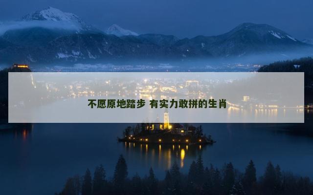 不愿原地踏步 有实力敢拼的生肖