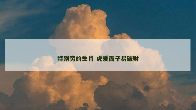 特别穷的生肖 虎爱面子易破财