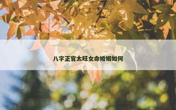 八字正官太旺女命婚姻如何