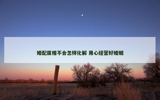 婚配属相不合怎样化解 用心经营好婚姻