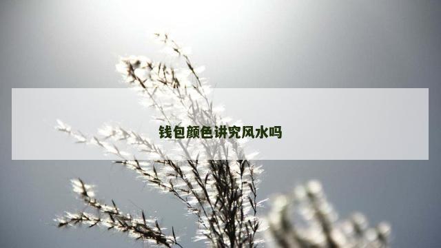 钱包颜色讲究风水吗