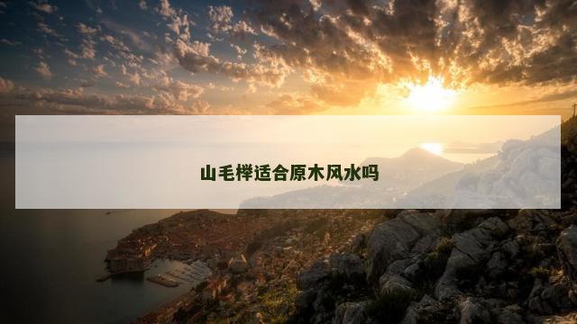 山毛榉适合原木风水吗