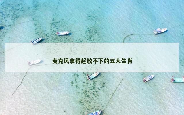 麦克风拿得起放不下的五大生肖