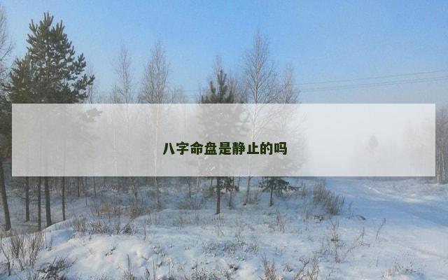 八字命盘是静止的吗