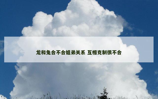 龙和兔合不合姐弟关系 互相克制很不合