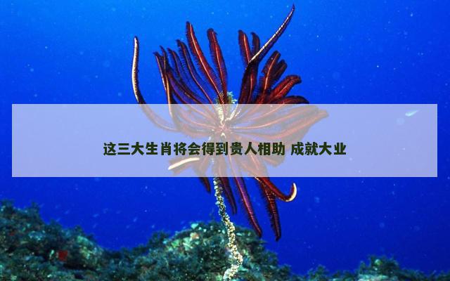 这三大生肖将会得到贵人相助 成就大业