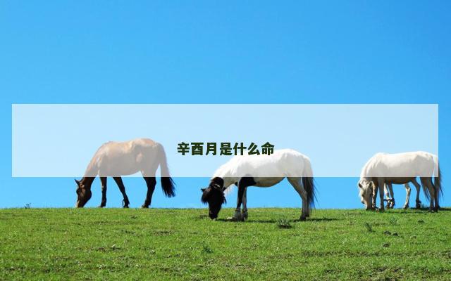 辛酉月是什么命