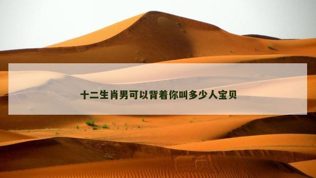 十二生肖男可以背着你叫多少人宝贝