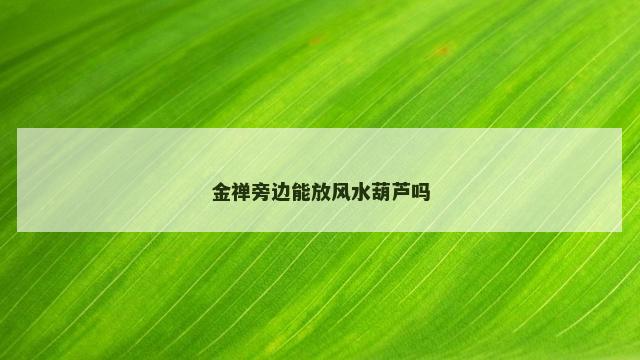 金禅旁边能放风水葫芦吗