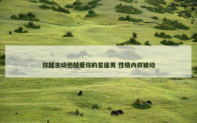 你越主动他越爱你的星座男 性格内敛被动