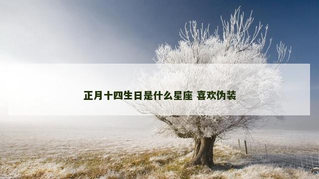 正月十四生日是什么星座 喜欢伪装