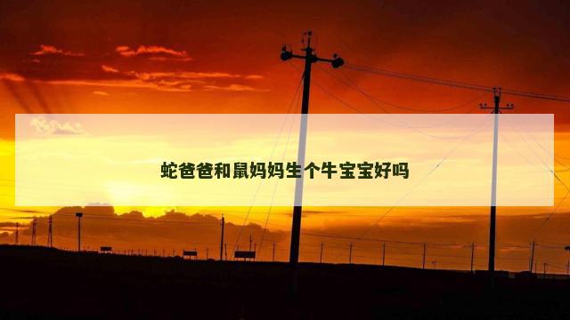 蛇爸爸和鼠妈妈生个牛宝宝好吗