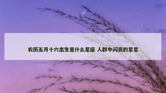 农历五月十六出生是什么星座 人群中闪亮的星星
