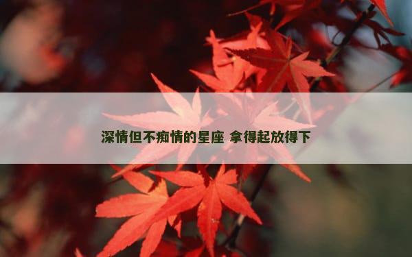 深情但不痴情的星座 拿得起放得下