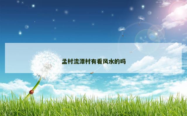 孟村流潭村有看风水的吗