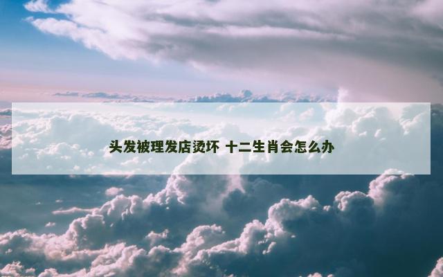 头发被理发店烫坏 十二生肖会怎么办