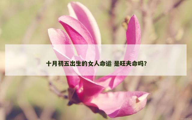 十月初五出生的女人命运 是旺夫命吗？