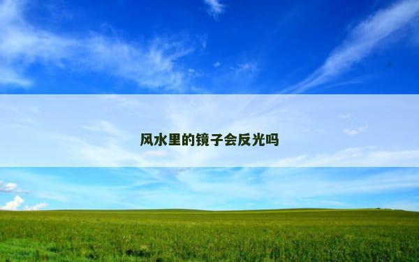 风水里的镜子会反光吗