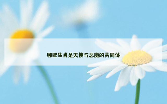 哪些生肖是天使与恶魔的共同体