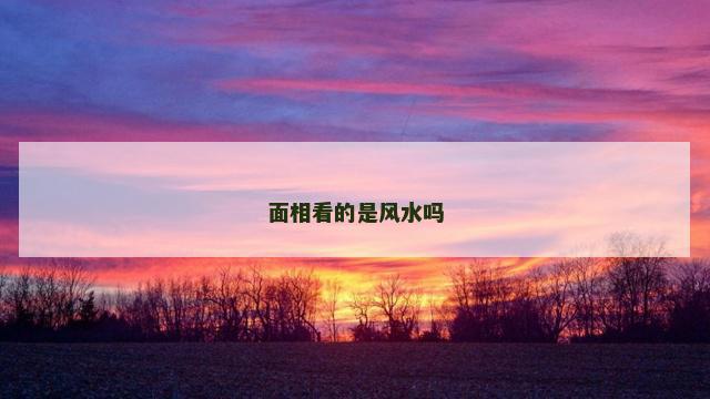 面相看的是风水吗