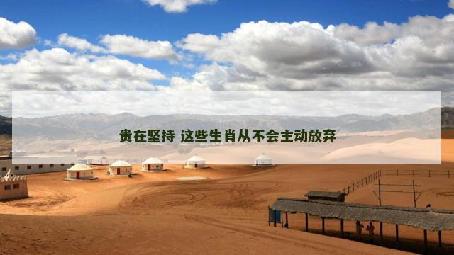 贵在坚持 这些生肖从不会主动放弃