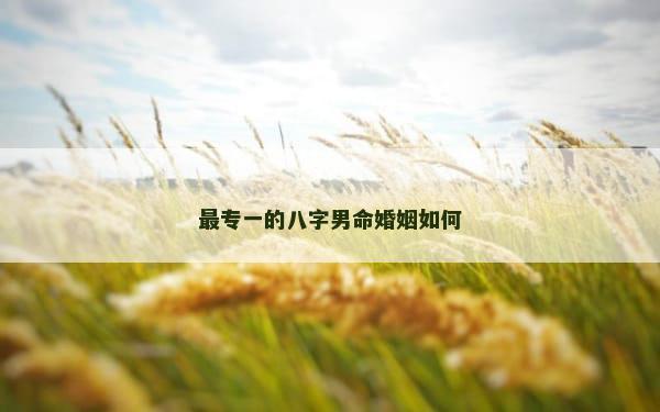 最专一的八字男命婚姻如何