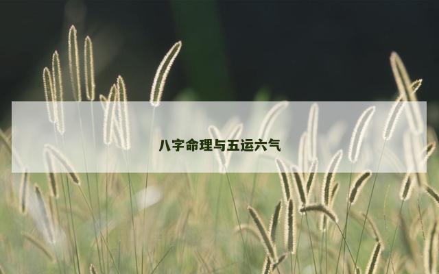 八字命理与五运六气