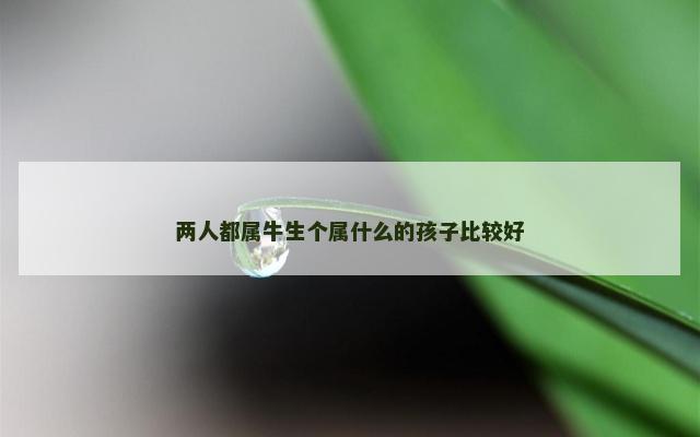 两人都属牛生个属什么的孩子比较好