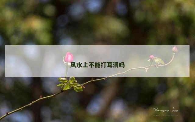 风水上不能打耳洞吗