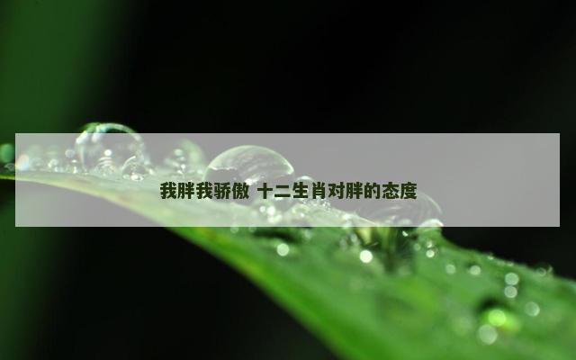 我胖我骄傲 十二生肖对胖的态度