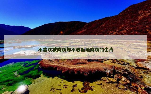 不喜欢被麻烦却不敢拒绝麻烦的生肖