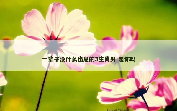 一辈子没什么出息的3生肖男 是你吗