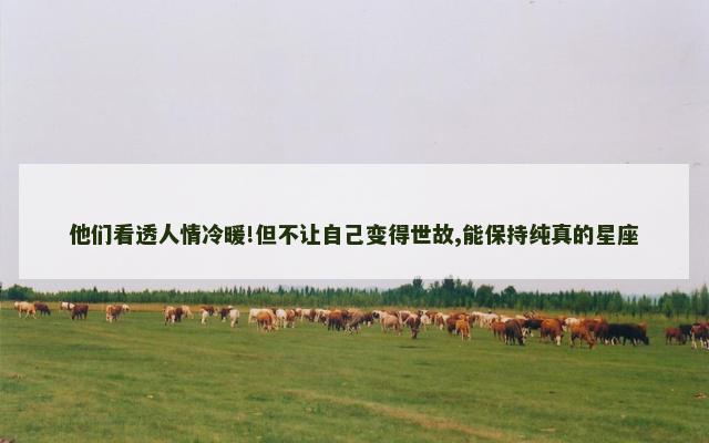 他们看透人情冷暖!但不让自己变得世故,能保持纯真的星座