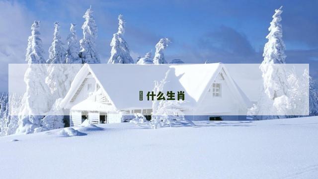 媋什么生肖