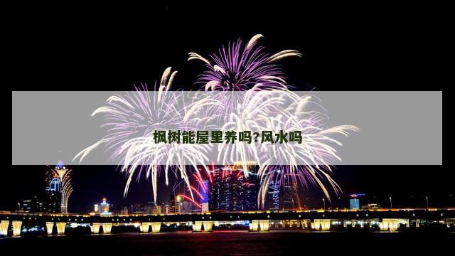 枫树能屋里养吗?风水吗