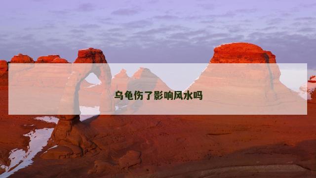 乌龟伤了影响风水吗