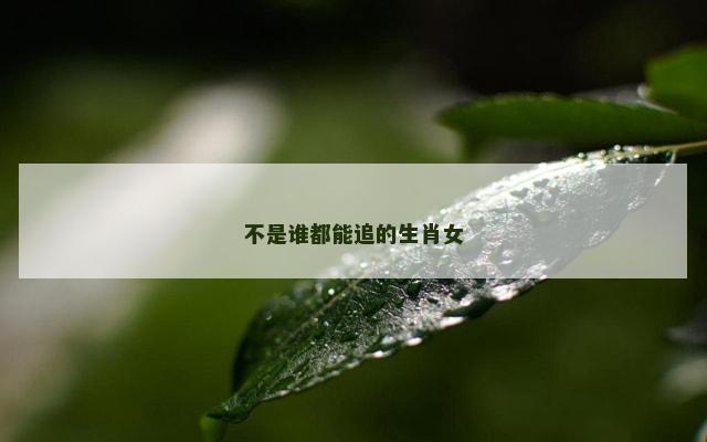 不是谁都能追的生肖女