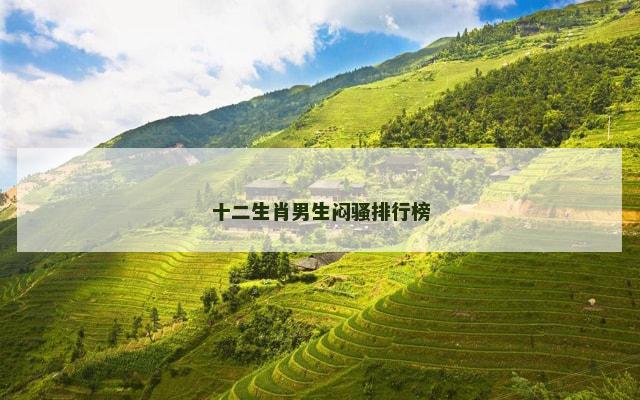 十二生肖男生闷骚排行榜