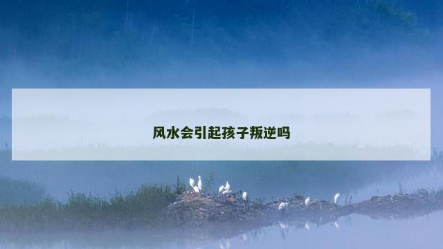 风水会引起孩子叛逆吗