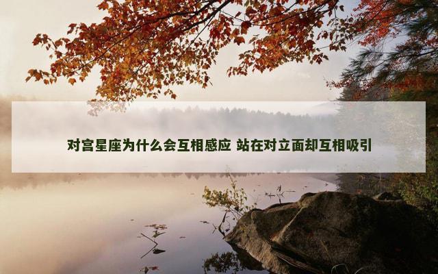 对宫星座为什么会互相感应 站在对立面却互相吸引