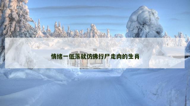 情绪一低落就仿佛行尸走肉的生肖