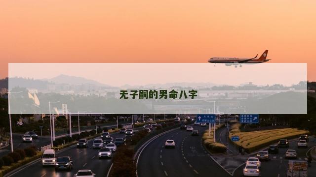 无子嗣的男命八字