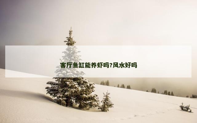 客厅鱼缸能养虾吗?风水好吗