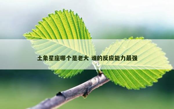 土象星座哪个是老大 谁的反应能力最强