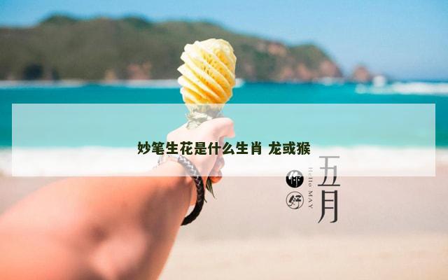 妙笔生花是什么生肖 龙或猴