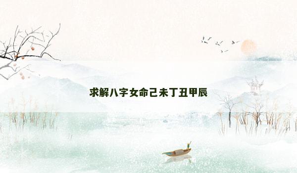 求解八字女命己未丁丑甲辰